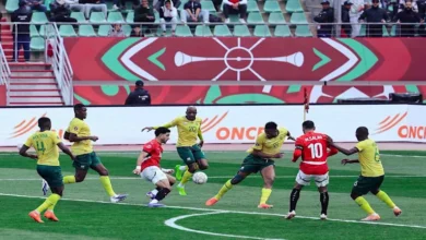 "حضور الخطيب وغضب حسام حسن".. ما لم تشاهده في مباراة مصر وجنوب أفريقيا