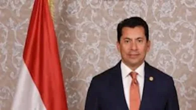 حوكمة الرياضة.. صبحي: ضوابط جديدة واستقلالية مؤسساتية