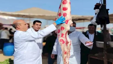 خلال نوفمبر.. "الزراعة": ضبط أكثر من 682 طنًا من اللحوم غير الصالحة