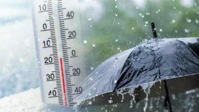 ذروة الشتاء.. تعرف على موعد شهر طوبة 2025