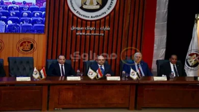 رئيس الهيئة الوطنية للانتخابات: بطلان وإعادة الانتخابات يؤكدان حرص الدولة على صيانة إرادة الناخبين
