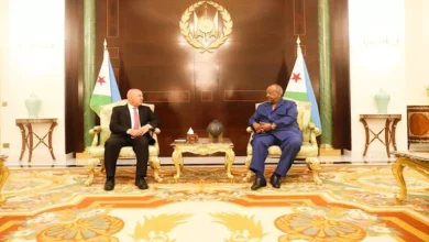 رئيس جيبوتي يستقبل وزير النقل لبحث التعاون في عدد من المشروعات