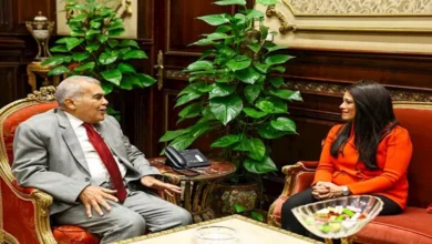 رئيس مجلس الشيوخ يستقبل وزيرة التخطيط والتعاون الدولي