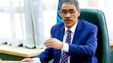 ضياء رشوان: الثوابت المصرية ترفض تهجير أهل غزة