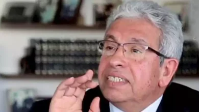 عبد المنعم سعيد: بيان الدفاع المشترك مع السودان رسالة ردع