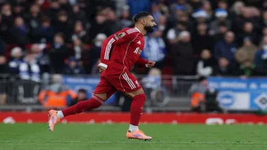 في 20 دقيقة.. ماذا قدم محمد صلاح في الشوط الأول أمام برايتون؟ (أرقام)