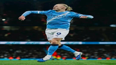 فيديو أهداف مباراة مانشستر سيتي ووست هام في الدوري الإنجليزي