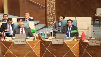 فيديو.. الإمارات تعلن دعمها الكامل للصومال حفاظًا على سيادته واستقراره