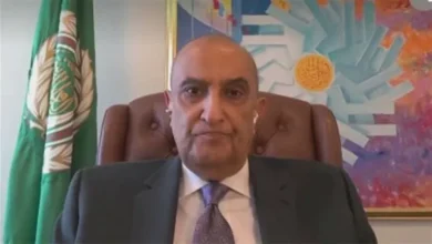 ماجد عبدالفتاح: تحريك مسار تجميد مشاركة إسرائيل بالأمم المتحدة يتطلب توافقًا دوليًا