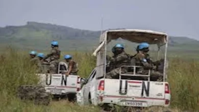 مجلس الأمن الدولي يمدد مهمة قوة حفظ السلام في الكونغو الديمقراطية