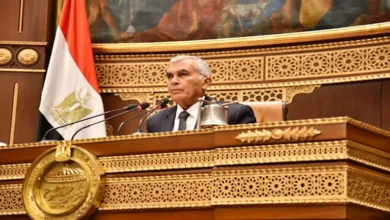 مجلس الشيوخ يوافق على تغليظ عقوبة موظفي الدولة المتورطين في سرقة الكهرباء