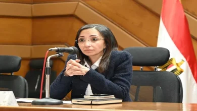 محافظ البحيرة: إقبال كثيف على اللجان الانتخابية