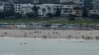 مسلم أوقف هجوم سيدني.. مفاجأة مدوية بشأن "البطل المنقذ" |فيديو