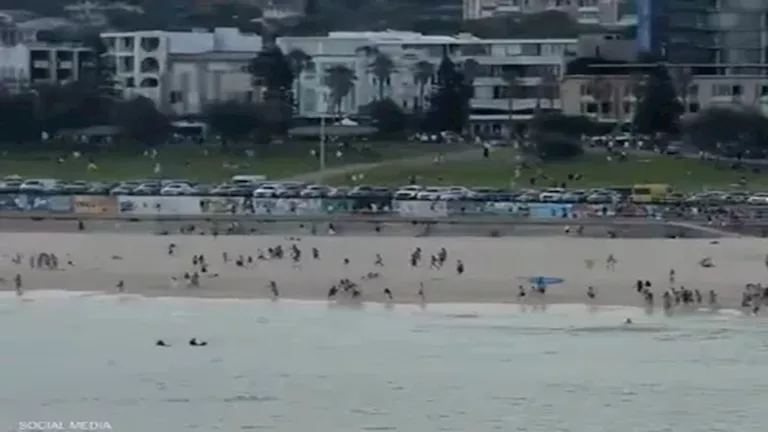 مسلم أوقف هجوم سيدني.. مفاجأة مدوية بشأن "البطل المنقذ" |فيديو