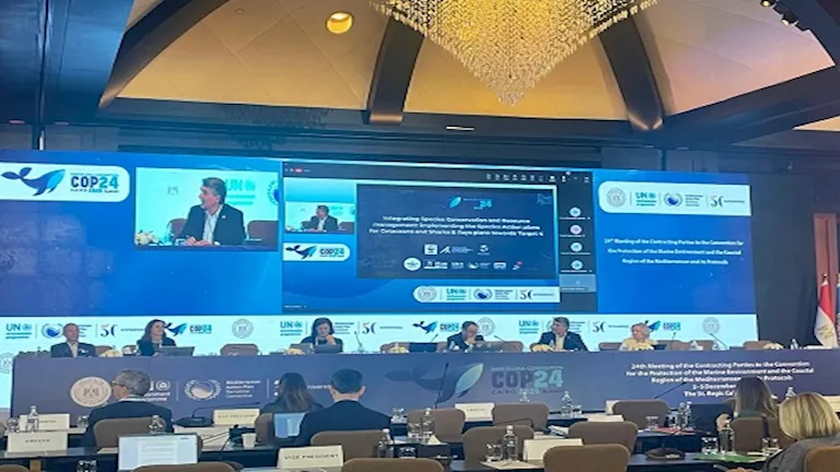 منال عوض: استعادة سواحل البحر المتوسط والأراضي الرطبة على رأس أولويات COP24