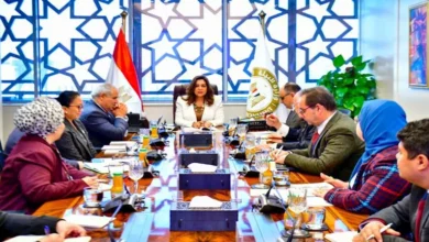 منال عوض توجه بإعداد دراسة لمواجهة انتشار الكلاب الضالة