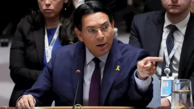 مندوب إسرائيل بالأمم المتحدة: سنتحرك للدفاع عن حلفائنا الدروز