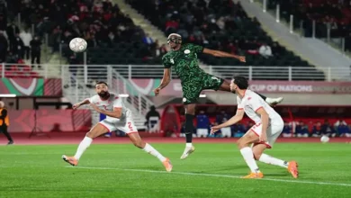 موعد مباراة تونس المقبلة بعد الخسارة من نيجيريا