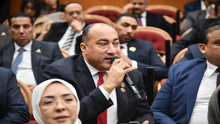 نائب بالشيوخ: هيئة تنمية الصعيد تقود التنمية الشاملة في جنوب مصر