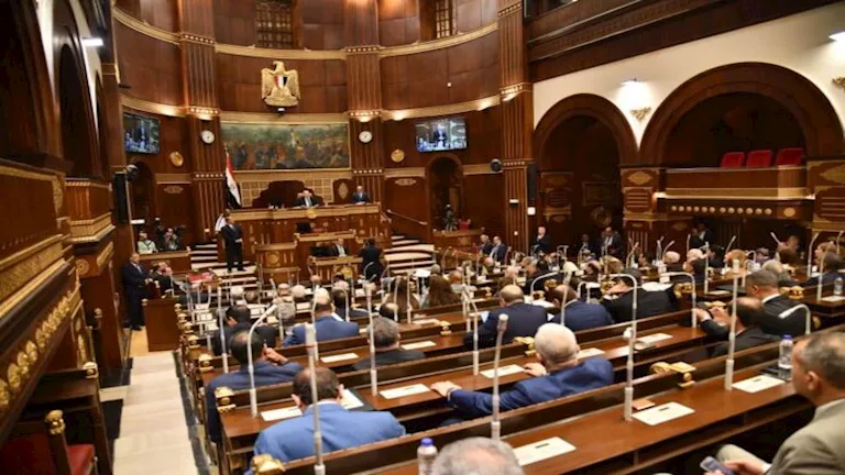 نائب بالشيوخ يتهم الحكومة باحتكار المياه والكهرباء ويرفض تعديل قانون الكهرباء