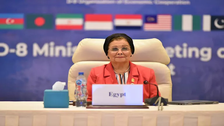 نائب وزير الصحة: انخفاض المواليد لأقل من مليوني نسمة.. ونستهدف حسم الملف السكاني بحلول 2027