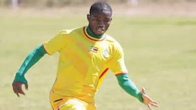 نجم زيمبابوي السابق لمصراوي: حسام حسن مدرب مناسب لمنتخب مصر لهذا السبب