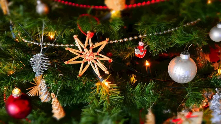 نشرة التوك شو| الأرصاد تكشف عن طقس ليلة رأس السنة وتوقعات أسعار اللحوم في 2026