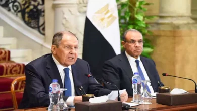 وزير الخارجية يشدد على رفض مصر لأي إجراءات تفصل الضفة عن غزة