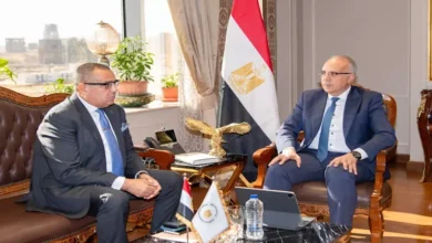 وزير الري ومحافظ جنوب سيناء يبحثان موقف مشروعات الموارد المائية