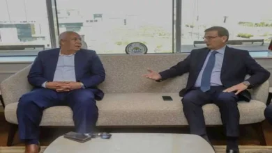 وزير الزراعة ومحافظ الوادي الجديد يبحثان تعزيز الاستثمار في الإنتاج الحيواني