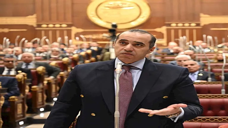 وزير الشؤون النيابية يرد على اتهامات احتكار الكهرباء وتغليظ العقوبات