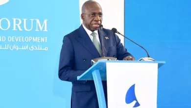 وزير خارجية أنجولا: علاقات التعاون مع مصر في مسار إيجابي