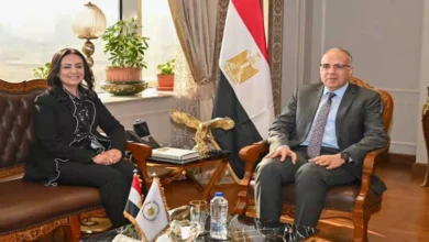 وزيرا الري والتضامن يبحثان التعاون في مجال تدوير ورد النيل لإنتاج مشغولات يدوية