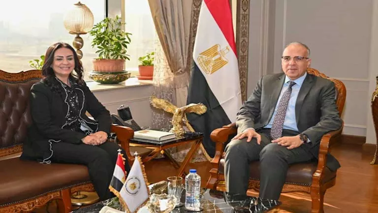 وزيرا الري والتضامن يبحثان التعاون في مجال تدوير ورد النيل لإنتاج مشغولات يدوية